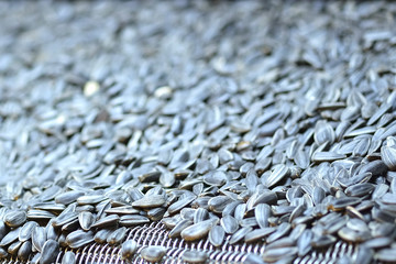 apparatus for frying sunflower seeds