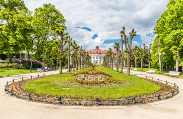 Obraz premium Flowers Showing The Date - Karlovy Vary, Czech Republic