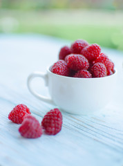 Sweet delicious berries for dessert