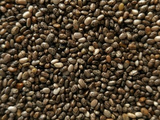 chia seeds