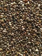 chia seeds