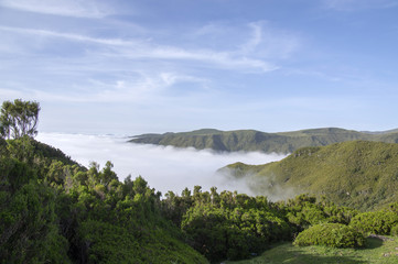 Fototapeta na wymiar Cloudiness in the valley, Rabacal, Madeira island, Portugal