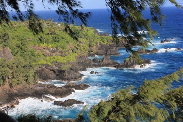 Naklejka na ściany i meble Küste am Kipahulu Point Park Road to Hana Maui Hawaii USA