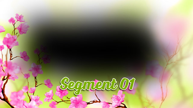 Pink Flowers Flythrough Overlay