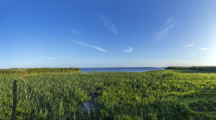 Fototapeta premium backwater lake in Zempin, Usedom