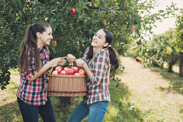 Girls with Apple in the Apple Orchard