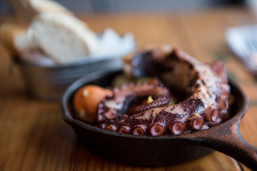 Octopus dish close up