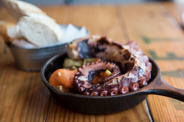 Close up of a grilled octopus