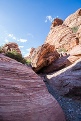 Red Rock Canyon National Park in Nevada near Las Vegas