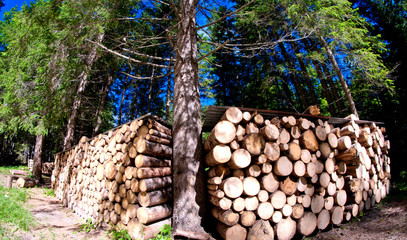 Lumber, Dolomites