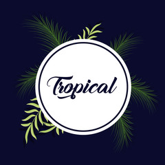 trendy summer tropical leaves banner 