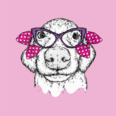 Beautiful dog in the bow. Purebred puppy in clothes and accessories. Vector illustration for a postcard or poster, print on clothes, covers, covers or bags.