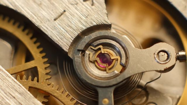 Watch Mechanism Close Up