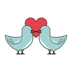 Cute doves in love icon vector illustration graphic design