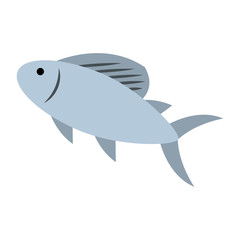 Fish food isolated icon vector illustration graphic design
