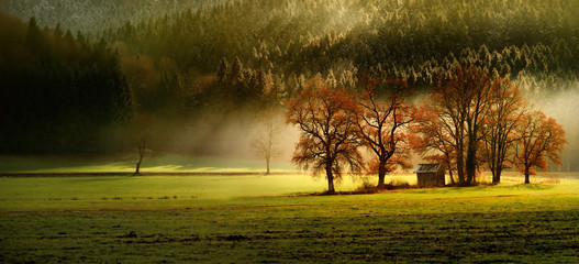 Finest autumn lansdcape of Bavarian nature with several trees and magestic light and fog