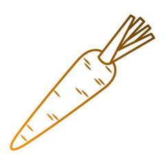 carrot vegetable tasty ripe icon vector illustration