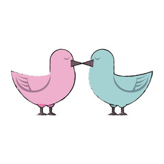 Cute doves in love icon vector illustration graphic design