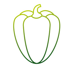 pepper vegetable fresh food diet vector illustration