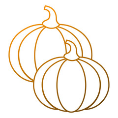two pumpkin vegetable vegetarian diet vector illustration