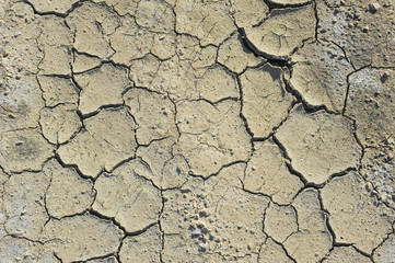 Dry soil cracking