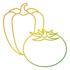 tomato and pepper vegetables nutrition vector illustration