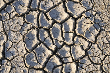 Climate warming dry chapped land