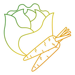 lettuce and carrots vegetables fresh food vector illustration