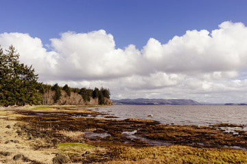 North Shore, Willapa Bay, Washington, Winter 2017