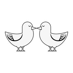 Cute doves in love icon vector illustration graphic design