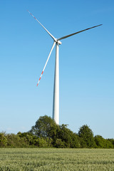 Fototapeta na wymiar Wind turbines in wheat field. Poland