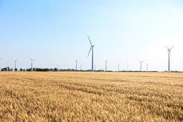 Wind turbine among golden ears of grain crops. Windmill turbine is environmentally friendly source of energy. Harvesting of wheat ears. Gathered crops on field of agricultural farm. Poland