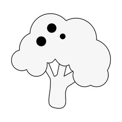 Broccoli fresh vegetable icon vector illustration graphic design