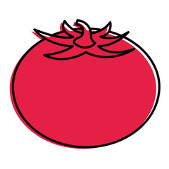 fresh tomato vegetable food healthy vector illustration