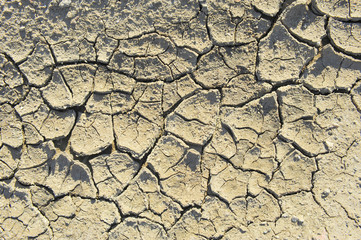 Dry soil cracking