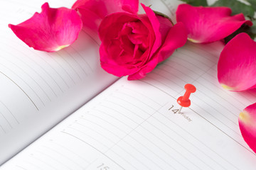 Calendar Valentines day pink pin and red roses on calendar notebook.