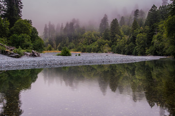 Calm Mountain River Winds Through Foggy Forest