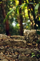 Stone stair
