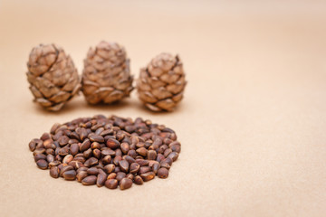 Pine nuts and cones on craft paper background
