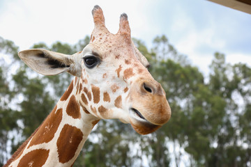 Equipo: Canon EOS 5D Mark III LF: 85 F/5 1/200