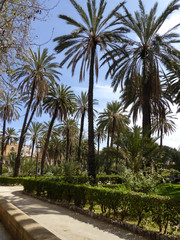 Fototapeta na wymiar Palmen Park von Palermo in Sizilien
