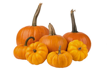 A group of different size pumpkins, isolated on white background.