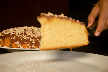Vanilla homemade cake