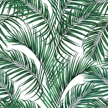 Watercolor painting coconut,palm leaf,green leave seamless pattern background.Watercolor hand drawn illustration tropical exotic leaf prints for wallpaper,textile Hawaii aloha jungle style pattern.
