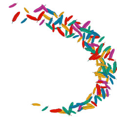 Vector Confetti Background Pattern. Element of design. Colored feathers on a white background