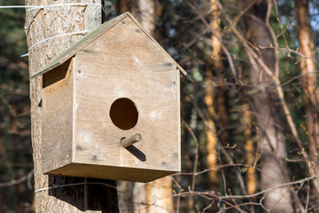 Beautiful wooden bird feeder in Park
