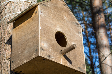 Beautiful wooden bird feeder in Park