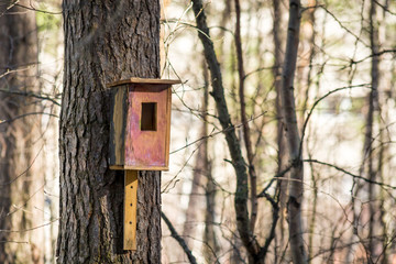 Beautiful wooden bird feeder in Park
