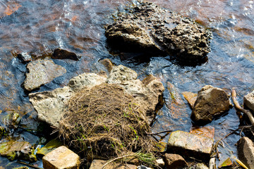 River stones in water