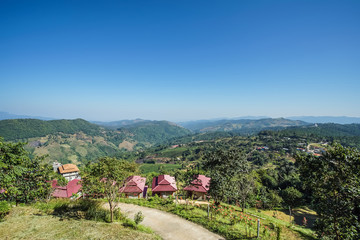 Fototapeta na wymiar Homes in the mountain with tea plantation